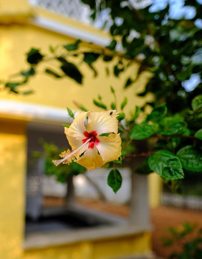 Parul - Elegant Heritage Home At The Heart Of Shantiniketan Exteriér fotografie